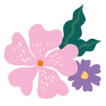 Portafoglio - What a Cute Wallet!, , swatch